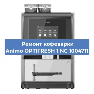 Чистка кофемашины Animo OPTIFRESH 1 NG 1004711 от накипи в Самаре